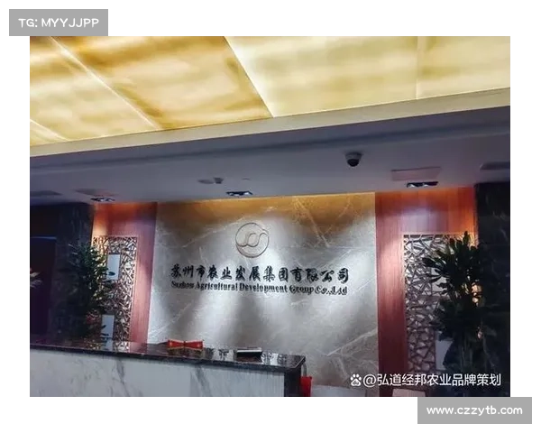 从品牌战略角度解读安联赞助商角色及其对企业形象塑造的深远影响